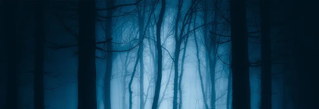 mørk skummel skog